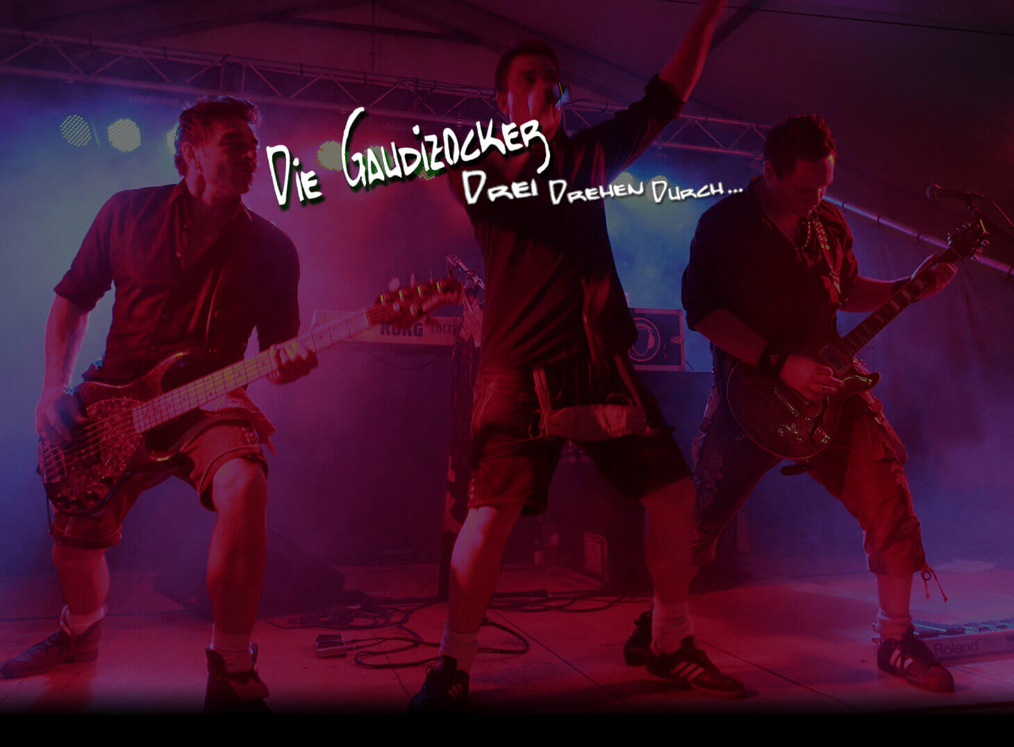 Hintergrundbild Die Gaudizocker Band